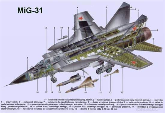 МиГ-31 в разрезе