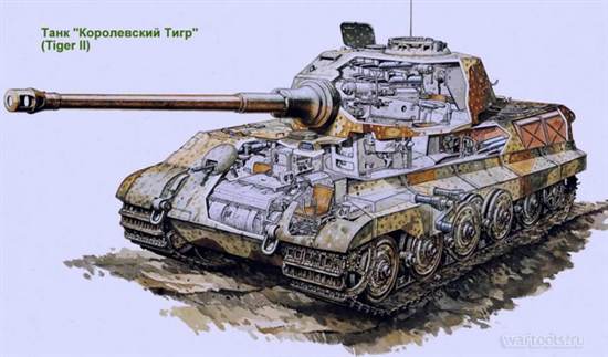 Tiger II в разрезе