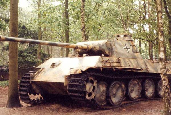 PzKpfw V Ausf. G 1-й танковой дивизии СС, Нидерланды, 1944